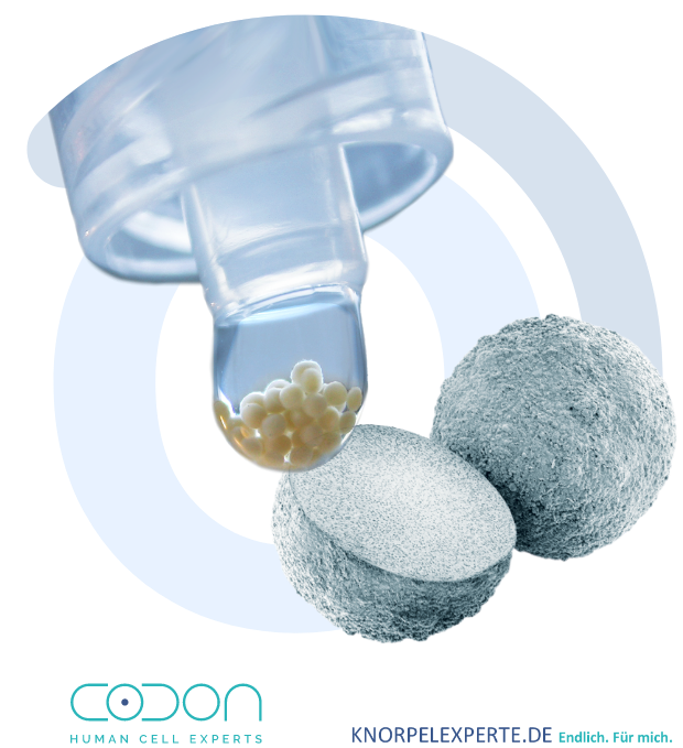 Codon knorpelexperte