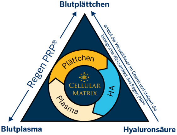 Cellularmatrix regenlab
